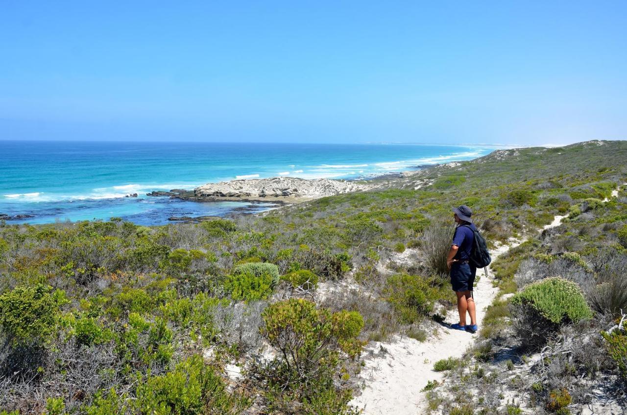 Morukuru Beach Lodge De Hoop Nature Reserve Exterior foto