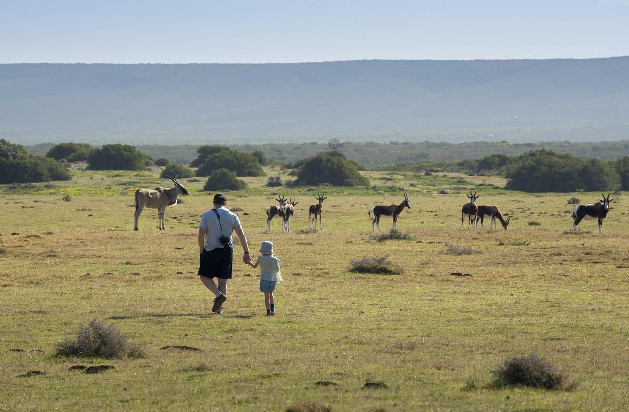 Morukuru Beach Lodge De Hoop Nature Reserve Exterior foto